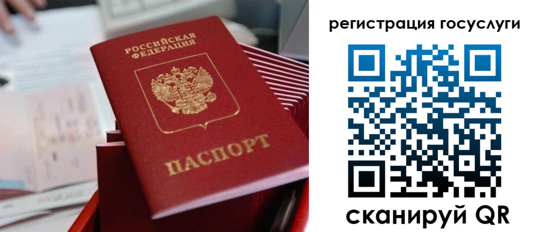 прописка регистрация в Шали